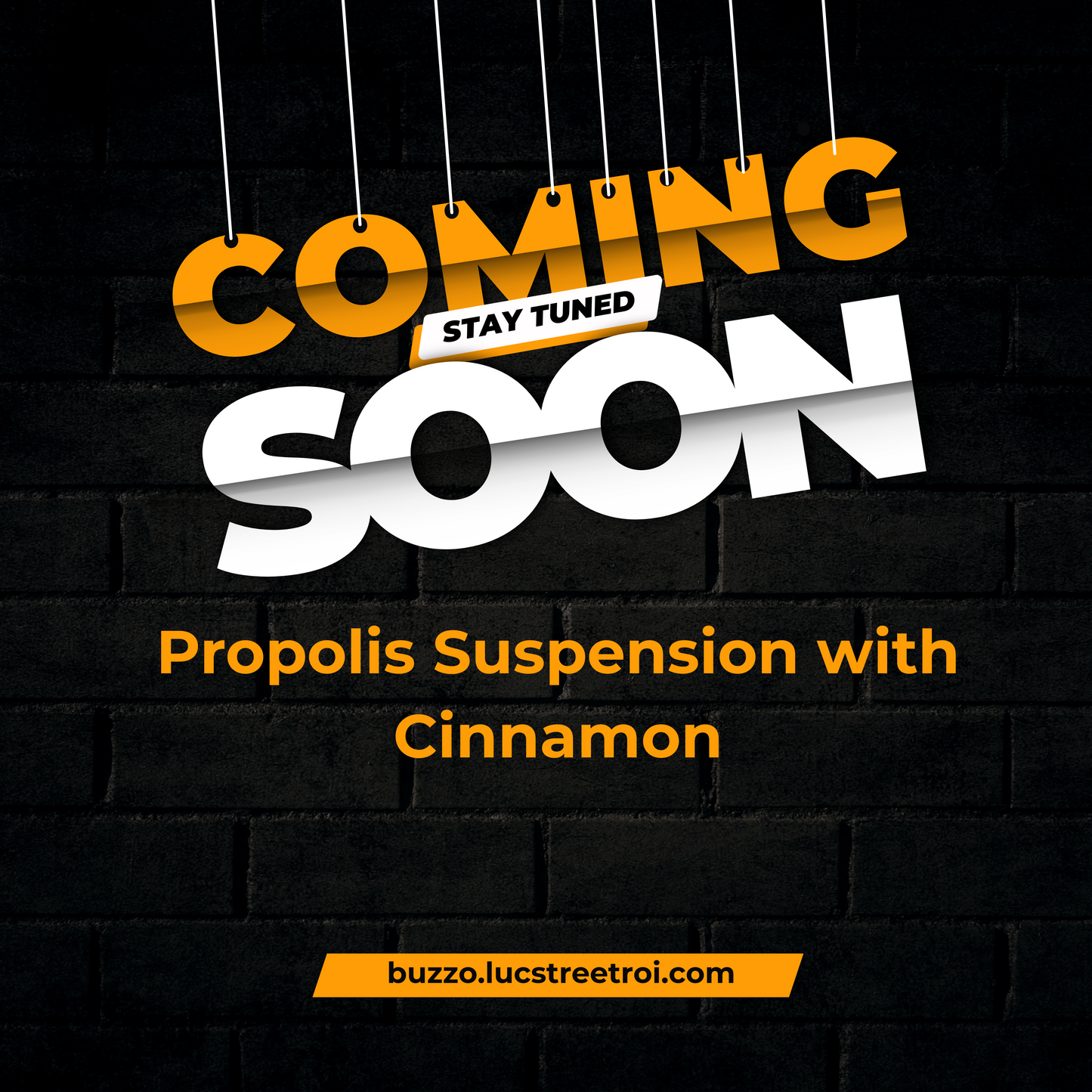 Buzzo Propolis Suspension with Cinnamon-Coming Soon